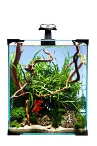 Zestaw akwariowy nano LED 20 25x25x30cm